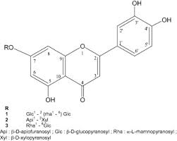 Image result for Sclerochiton vogelii