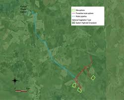 Image result for Linderniella wilmsii