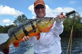 Maybe you would like to learn more about one of these? Brazil S Amazing Peacock Bass Fishing Floating Bungalows