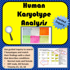 Respond to the questions and prompts in the orange boxes. Karyotype Activity Worksheets Teachers Pay Teachers