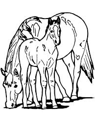 Kids N Fun Kleurplaat Paarden Paard En Veulen