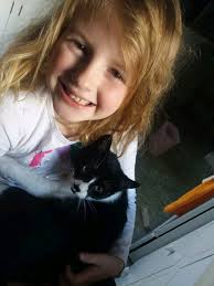 My friends cat has been missing for a few days now. Kenmore 15th st by the  library. Her name is Gemma she's very friendly, not fixed. Her family  misses her.