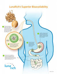 Lunarich S Superior Bioavailability Wealth Thru Nutrition Blog Reliv Bioavailability Health