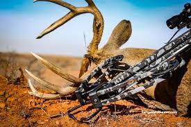 With a skeletonized stock and an overall weight topping out at less than 6 pounds, wicked ridge claims this is the lightest crossbow on the market. Wicked Ridge M370 Review Lightweight And Accurate Crossbow Forgotten Hunter
