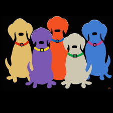 Champion sired english akc white lab puppy, yellow lab puppy, cream lab puppy, ivory lab puppy, fox red lab puppy, white lab puppies, white labrador breeder, labrador retriever for sale. Mainely Labs Studio Maine Made