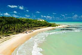 Adoramos a pacata praia de sagi, os restaurantes por lá, o passeio de buggy vindo de baia formosa e, óbvio, o passeio no mangue com o folclórico toreba (é só alegria) com direito a banho de argila. Baia Formosa Baia Formosa Brazil