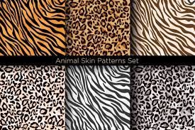 Maybe you would like to learn more about one of these? Premium Vector Animal Print Design Over Colored Background