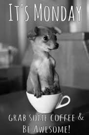 Happy Monday Have A Great Day In 2020 Monday Humor Quotes Happy Monday Quotes Monday Inspirational Quotes 2 positive memes about monday. pinterest