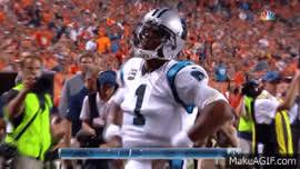 Image result for tbn:nS7VVzE55vmeuM::www.sportnat.com/lapouneur/bouton/course.gif