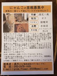 里親募集 千葉市中央区蘇我 の 動物病院 そが動物病院