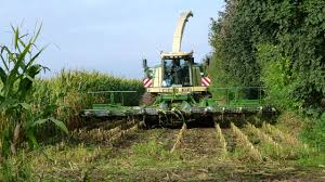 Sorgen sie vorsichtshalber vor reiseantritt für einen. Mais Landwirtschaftskammer Schleswig Holstein