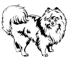 Decorative Portrait Of Standing In Profile Dog Breed Spitz Pomeranian Dog Silhouette Dog Coloring Page Dog Drawing