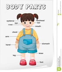 If your chest felt like it popped you may need to see a doctor. Quotes About Body Parts 131 Quotes