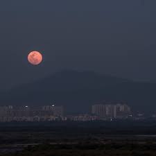 Getty the full super pink moon is seen over the petare neighborhood in caracas, on april 26, 2021. When You Can See The Super Pink Moon April 2021 Travelawaits