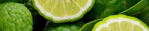 Citrus bergamia, the bergamot orange (pronounced ), is a fragrant citrus fruit the size of an orange, with a yellow or green color similar to a lime, depending on ripeness. Stream Bergamote Fm Music Listen To Songs Albums Playlists For Free On Soundcloud