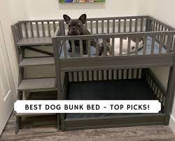 Dog steps for bed large dog. Best Dog Bunk Bed Top 7 Picks 2021 We Love Doodles