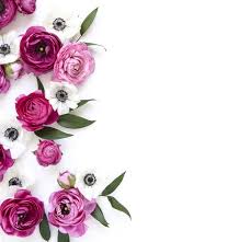 Happy International Womens Day To All My Lovely Followers Bunga Peony Toko Bunga Bunga