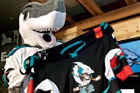 Chickens vs bull funny picture. 10 Years Later An Oral History Of The China Sharks Culture Shock On Ice The Hockey News On Sports Illustrated