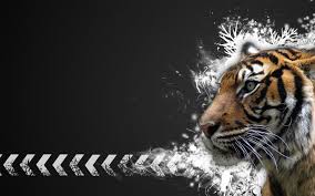 White tiger wallpaper for laptop. 47 White Tiger Wallpaper Desktop On Wallpapersafari
