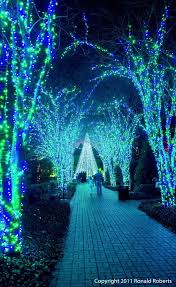 Everyone had a wonderful time. Viajando Por El Mundo Holiday Lights Beautiful Christmas Atlanta Botanical Garden