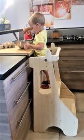 Giraffe Evolutionary Observation Tower Observation Diy Tours