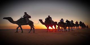 Please refresh the page or try again later. Morocco Trip Camel Excursions Morocco Trip From Fes Marrakech Trip