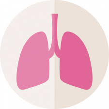 Abnormal cells grow and can form tumors. Mesothelioma What Are It S Causes Symptoms Prognosis Learn More