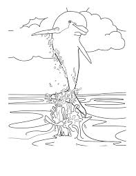 Feel free to print and color from the best 40+ baby dolphin coloring pages at getcolorings.com. Free Printable Dolphin Coloring Pages For Kids