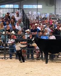 Madeleine Donovan (@madeleinechgo) • Instagram photos and videos