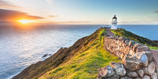 Neuseeland liegt auf dem kontinent ozeanien. Unsere Tipps Fur Euren Neuseeland Urlaub 2021