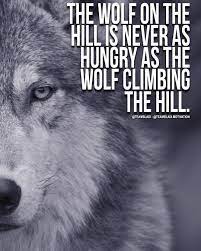 The Wolf On The Hill Is Never As Hungry As The Wolf Climbing The Hill Motivation Quotes Quoteofth Nature Quotes Warrior Quotes Motivational Quotes For Life