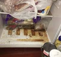 This fridge is disgusting. That's a mix of animal blood and ...