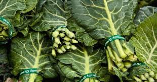 Refrigeration can keep collard greens fresh up to four to five days. Can You Freeze Collard Greens Yes But You Have To Follow These Rules