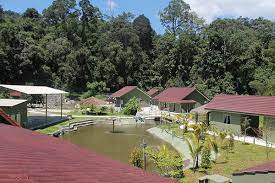 Team building pada tahun ini pihak swift membawa pemandu dan staf melakukan aktiviti di agrotek hulu klang selangor.aktiviti. Green Villa Resort Kk Group