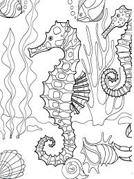 Download and print these underwater coloring pages for free. Free Printable Ocean Coloring Pages Under The Sea