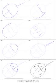 This tutorial shows the sketching and drawing steps from start to finish. How To Draw A Horseshoe Crab Printable Step By Step Drawing Sheet Drawingtutorials101 Com