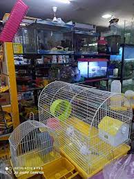 Just enter your address (or the address of the location where you expect to be going shopping. Top 100 Pet Shops In Coimbatore Best Pet Store Suppliers Justdial