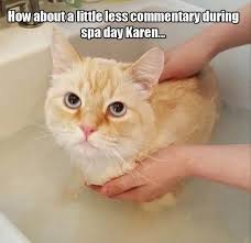 Free delivery on millions of items with prime. Damn It Karen You And Those Cat Memes Lol Why