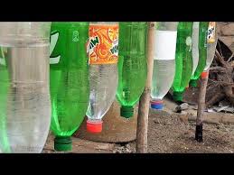 8 Plastic Bottle Drip Water Irrigation System Very Simple Youtube Water Irrigation System Drip Irrigation Diy Water Irrigation