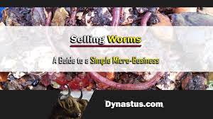 Selling Worms For Profit(A Simple Micro-Business) - Dynastus