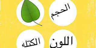 مفهوم المادة blog posts blog material
