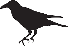 So for day 3 i thought i'd share one of my favourite from a few years ago! Crow Silhouette Png Clip Art Image Crow Simple Clip Art Transparent Png Full Size Clipart 280864 Pinclipart