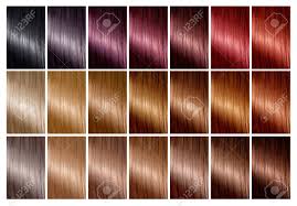 Color Chart For Hair Dye Hair Color Palette With A Wide Range