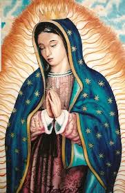 Oracion A La Virgen De Guadalupe Para Ayuda Y Proteccion Virgen De Guadalupe Fotos Virgen De Guadalupe Mexico Virgencita De Guadalupe Caricatura