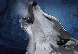 How To Draw A Wolf Trending Difficulty Any Dragoart Com Gray wolf, largest wild member of the dog family (canidae). how to draw a wolf trending