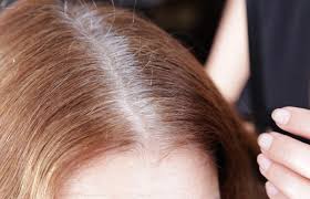 We have lots of two color hair dye ideas for you to decide on. Why Does Gray Hair Come Back So Fast After Coloring My Hair