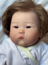 Amis et collectionneurs de bb reborn