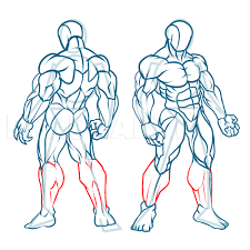 How To Draw Muscles, Step By Step, Drawing Guide, By Kingtutorial - Dragoart