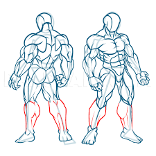 In this section, learn more about the muscles of the. How To Draw Muscles Step By Step Drawing Guide By Kingtutorial Dragoart Com