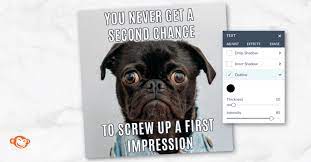 Ppg offers diy painting advice and professional support on a variety of topics. Meme Ideas Tips For Making Hilarious Memes Picmonkey